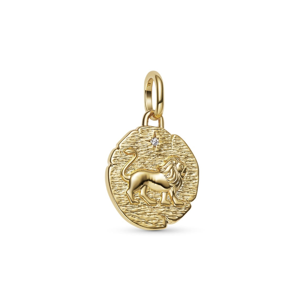 Lion Medallion Charm Hallmarked S925 Sterling Silver