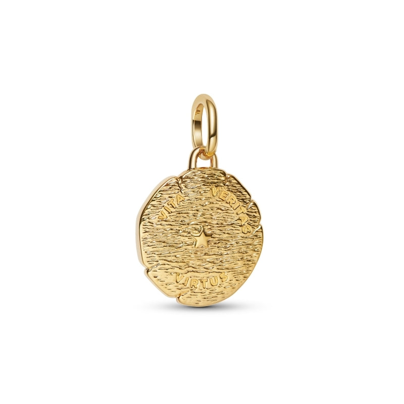 Lion Medallion Charm Hallmarked S925 Sterling Silver