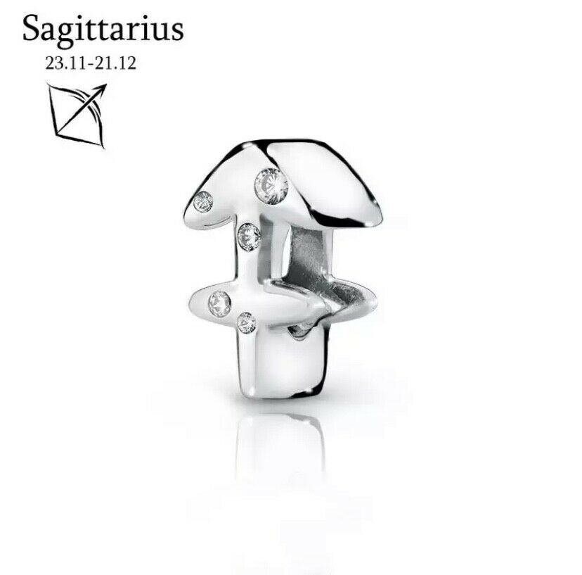 S925 Zodiac Sterling Silver Charm Collection