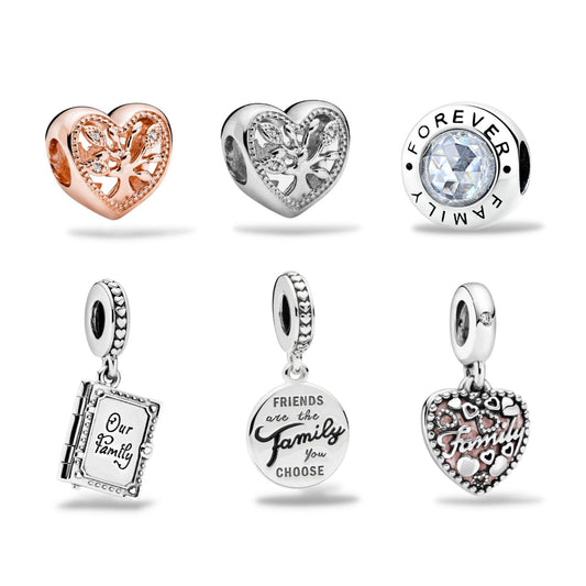 S925 Friends Family Forever Sterling Silver Charm Collection