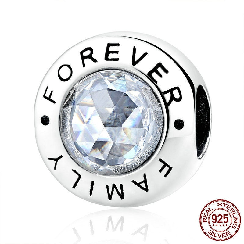 S925 Friends Family Forever Sterling Silver Charm Collection