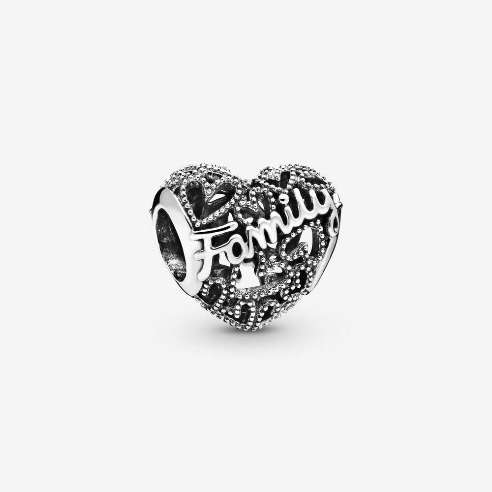 S925 Friends Family Forever Sterling Silver Charm Collection